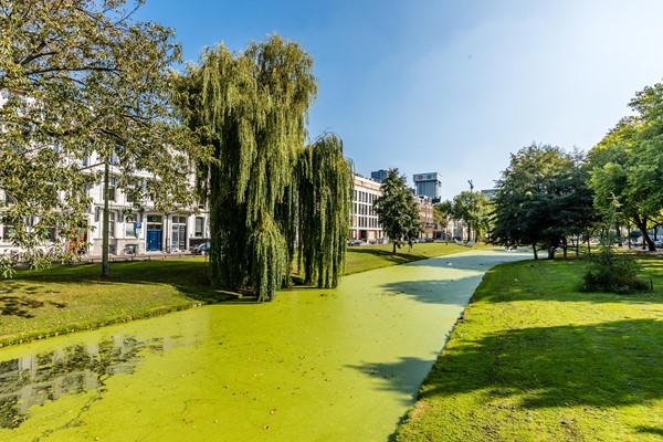 Medium property photo - Westersingel 87A, 3015 LC Rotterdam